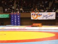 alljapan-2011-arena
