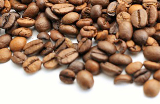 厳選されたコーヒー豆